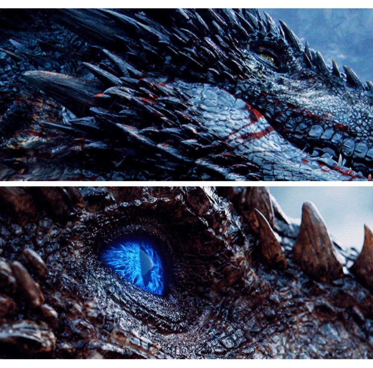 Драконы в реальной жизни