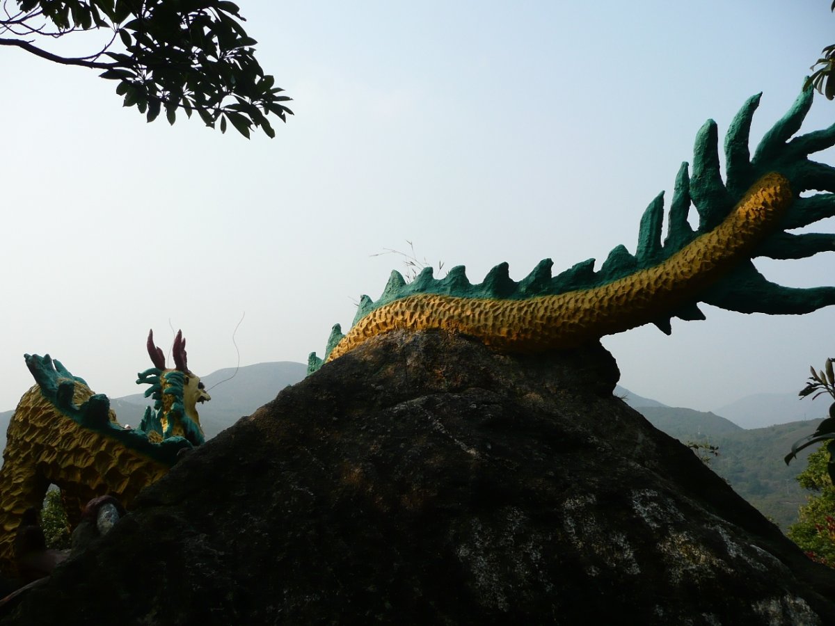 Кости настоящего дракона