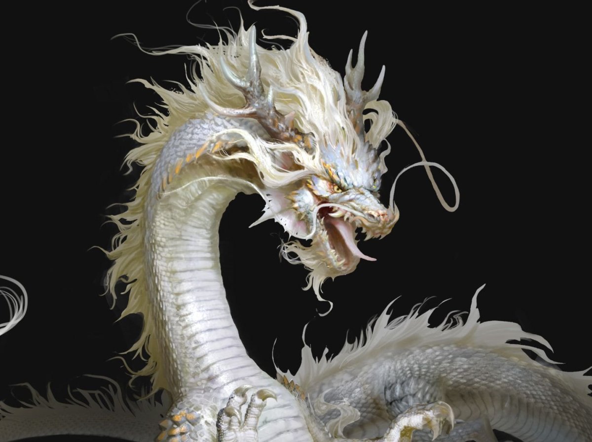 Армадилло поясохвост