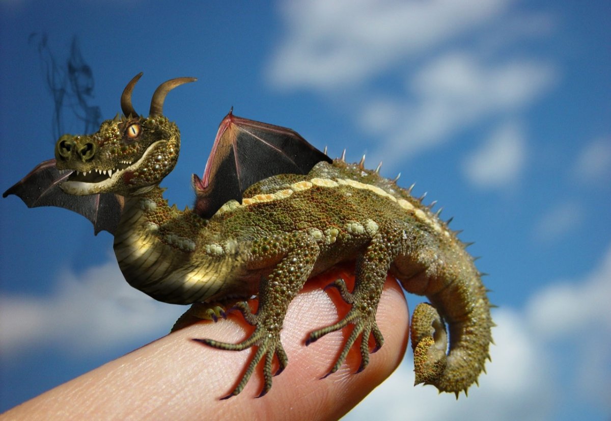 Драго сердце дракона