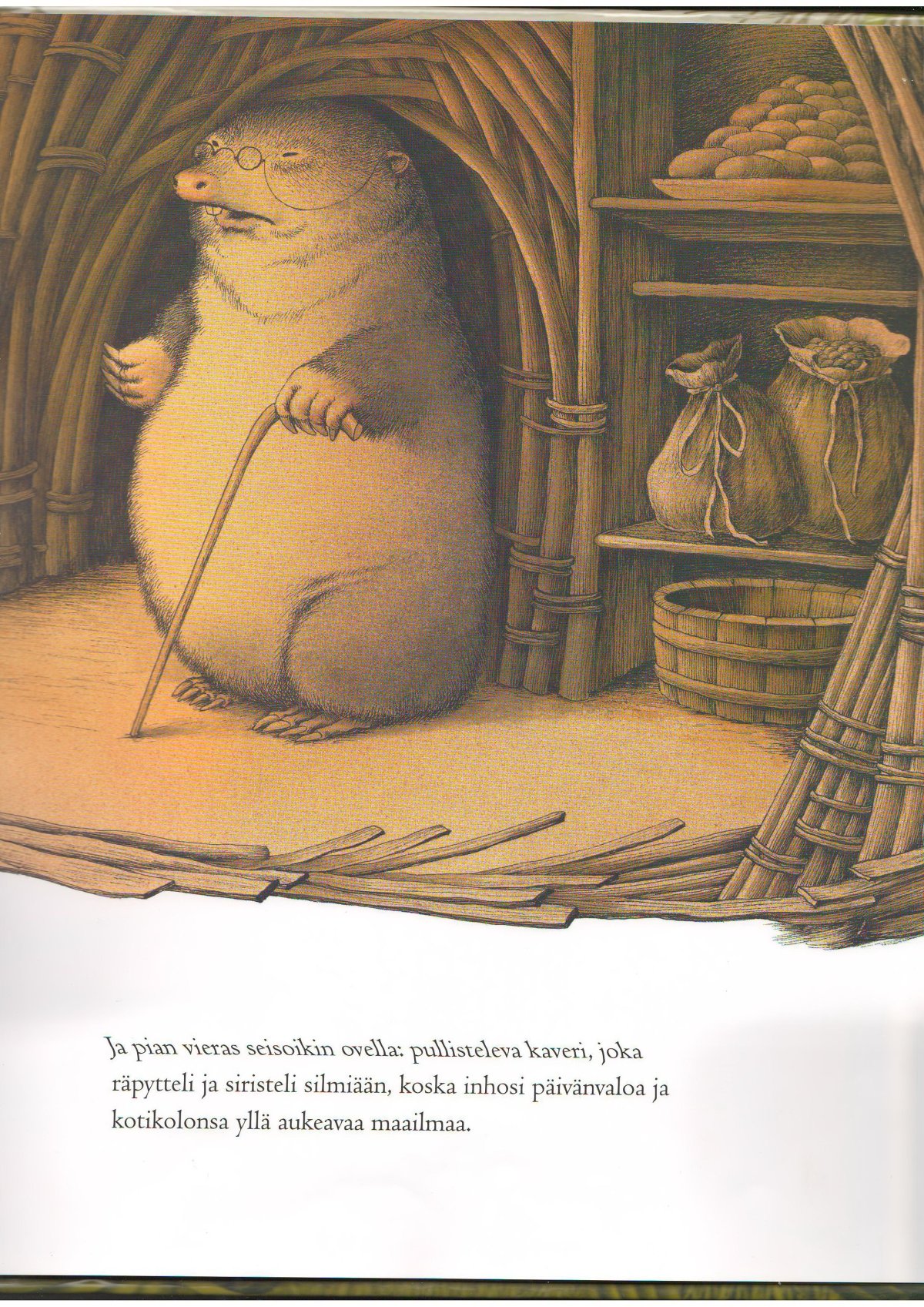 Мистер Крот ветер в ивах