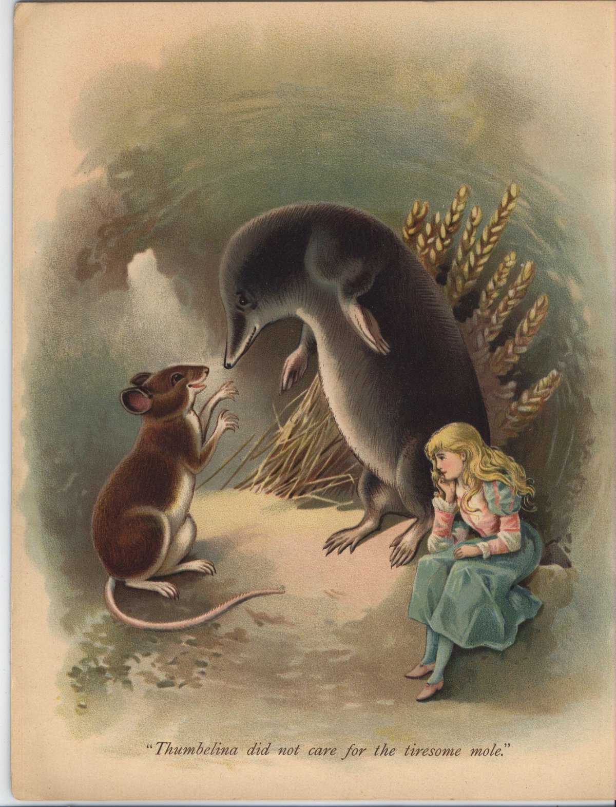 Герои сказки Дюймовочка Жук