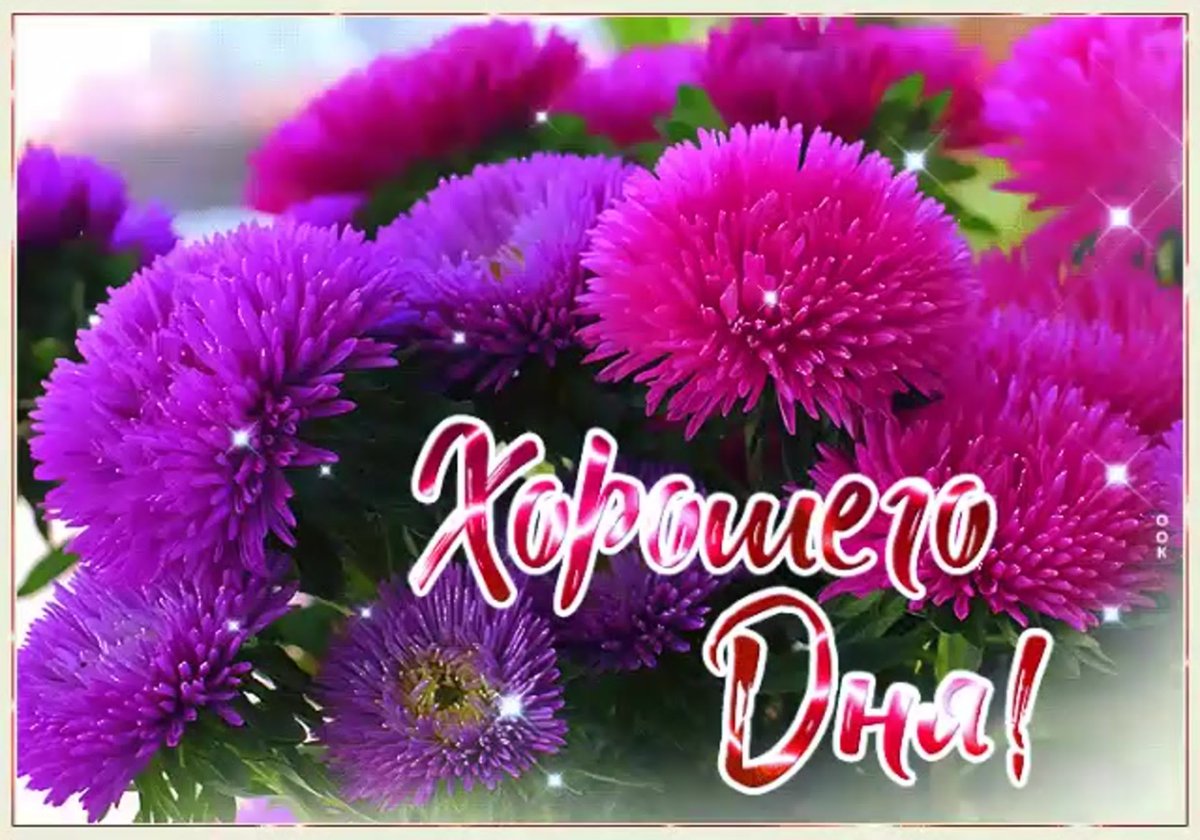 Удачного дня и отличного настроения