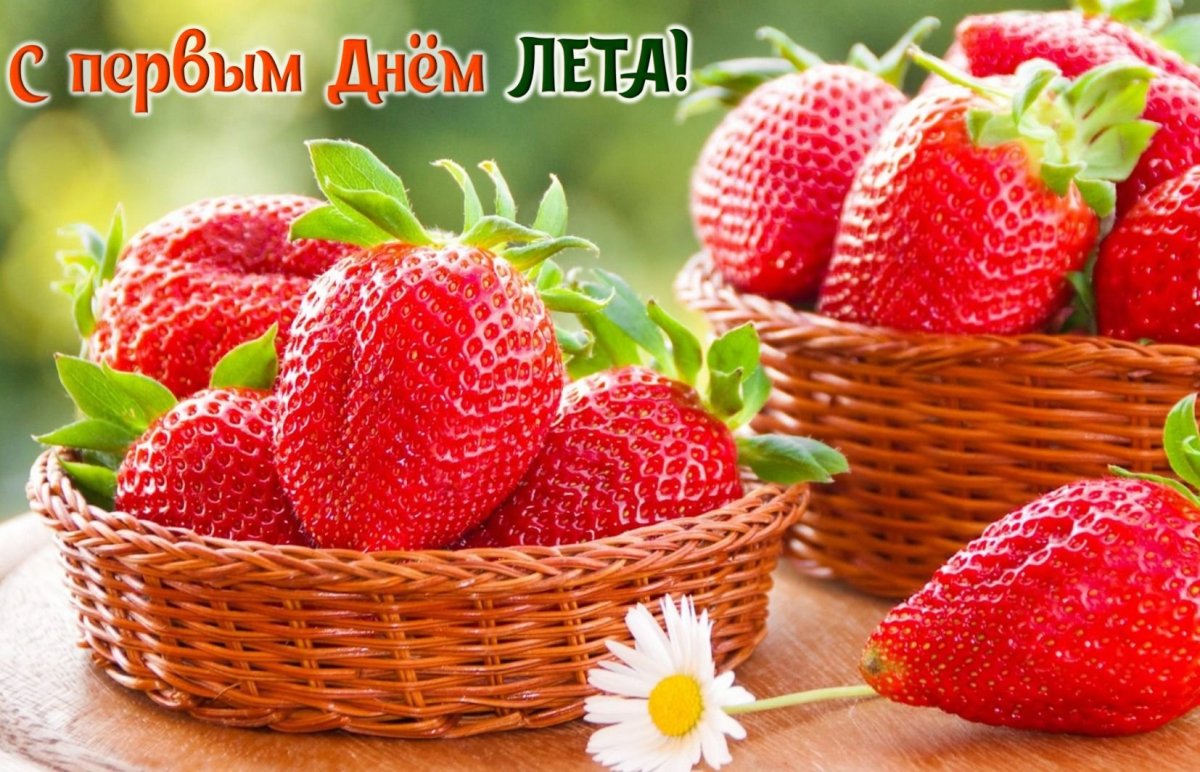 Красивые розы просто так