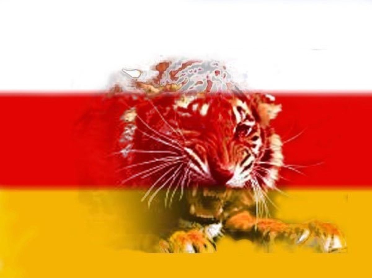 08 08 2008 Война в Южной Осетии