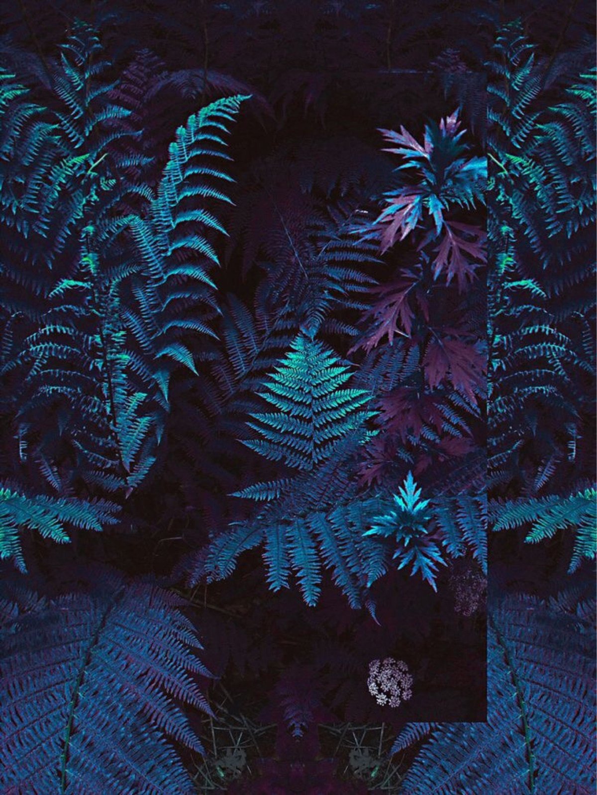 Vaporwave папоротники