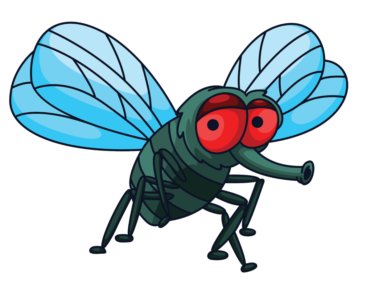 Муха рисунок для детей
