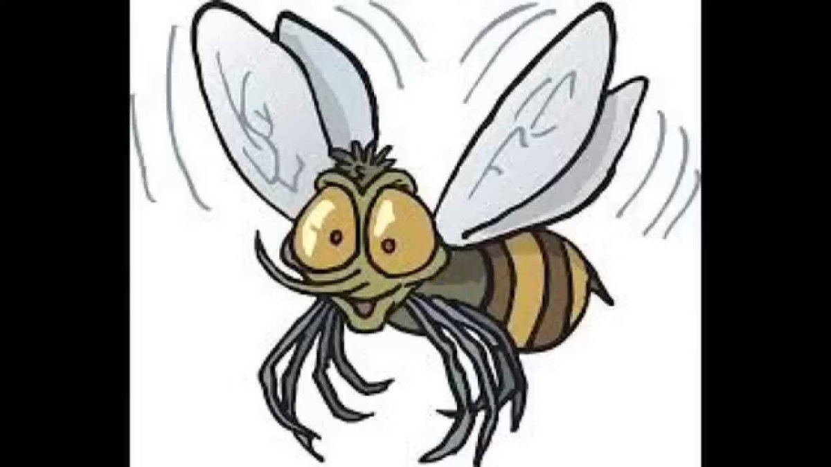 Веселая Стрекоза