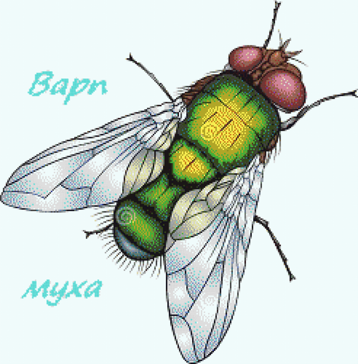 Муха в мультяшном стиле