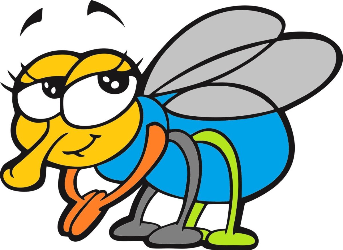 Шмель контурный рисунок