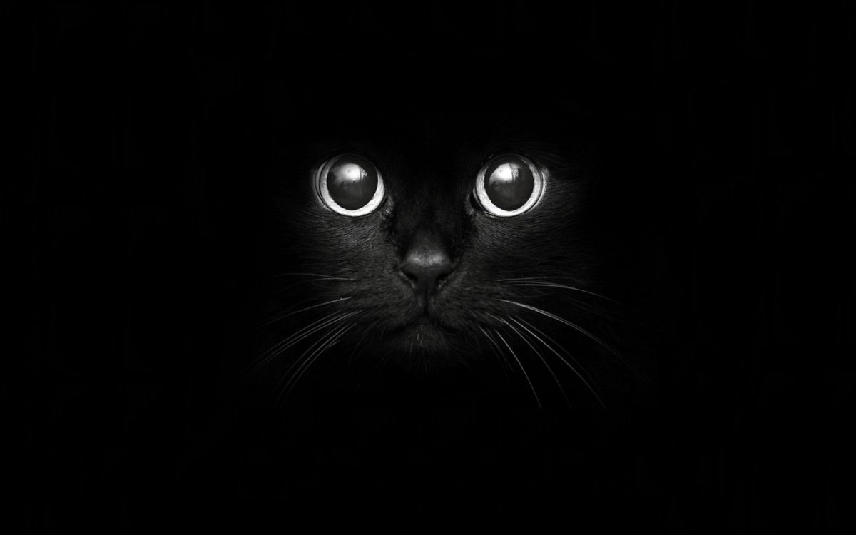 Красивые рисунки на черном фоне