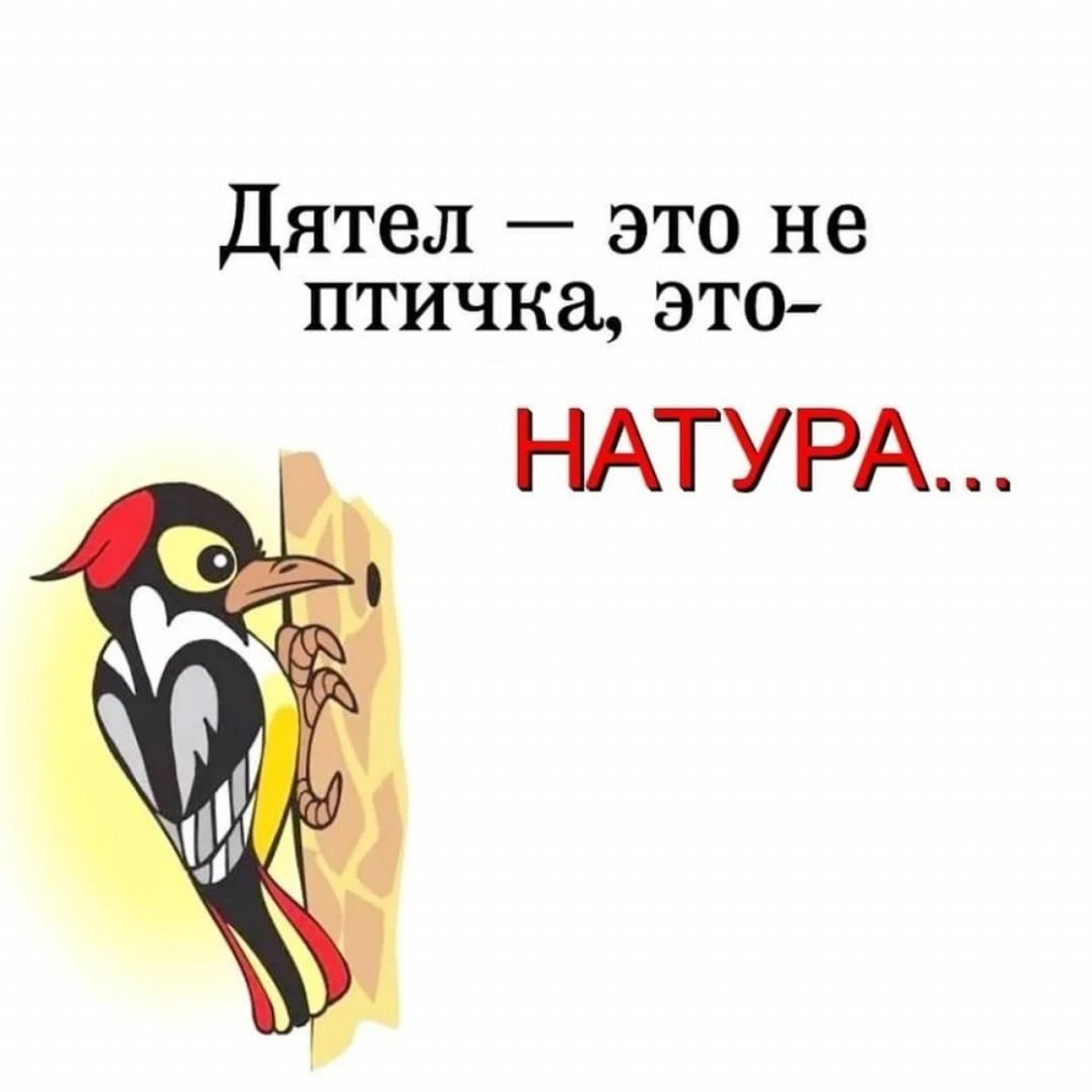 Смешной дятел