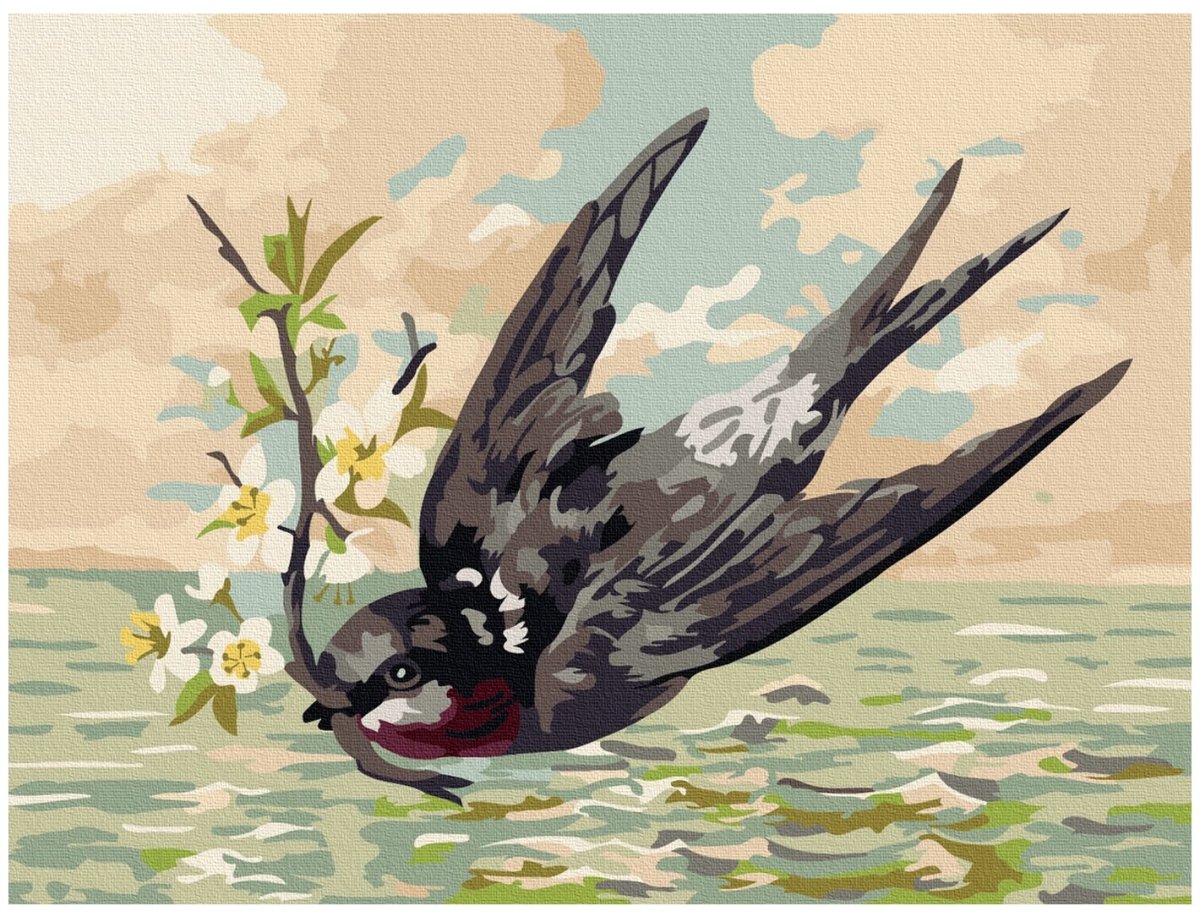 Раскрасить стрижа