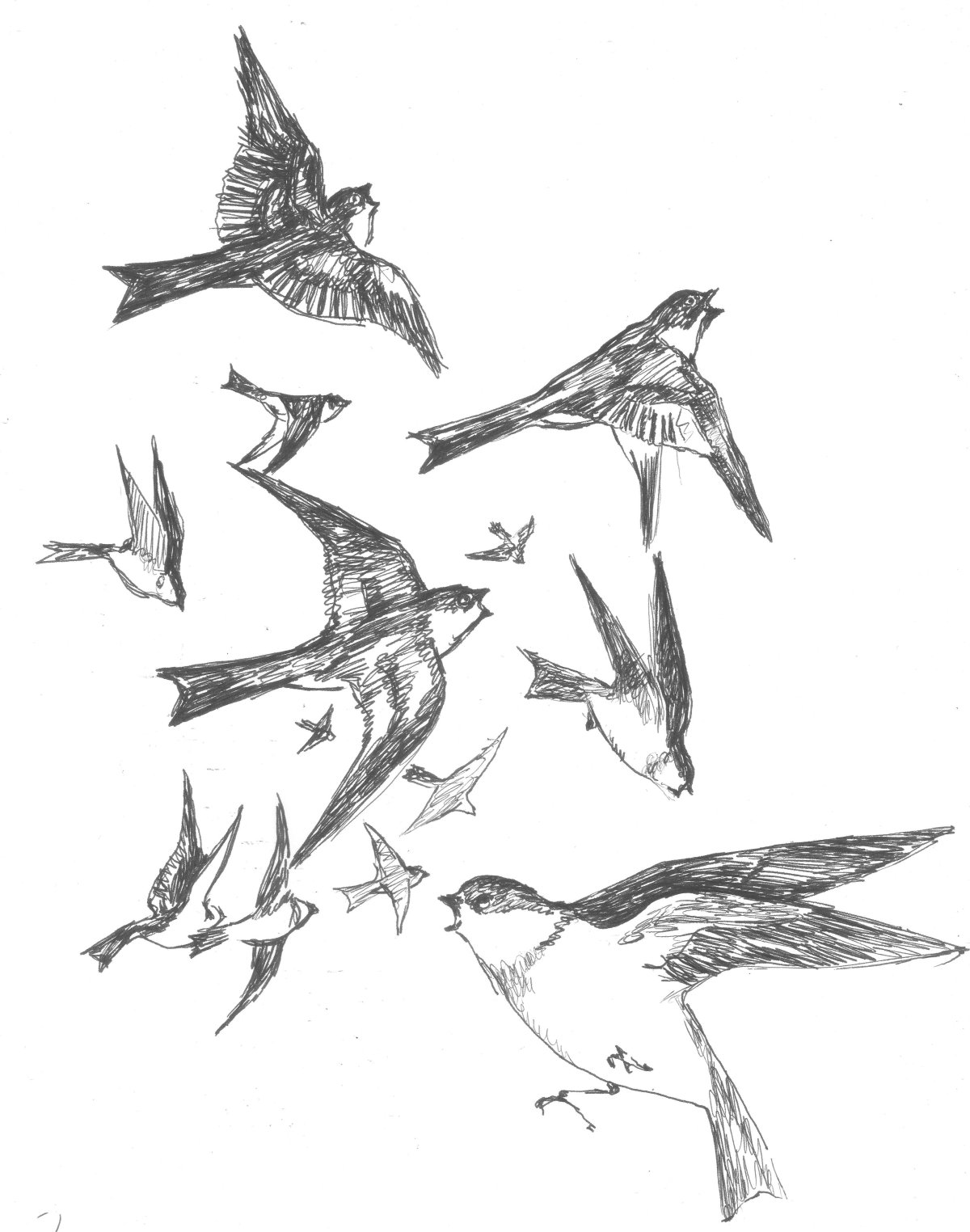 Ласточка тату эскиз