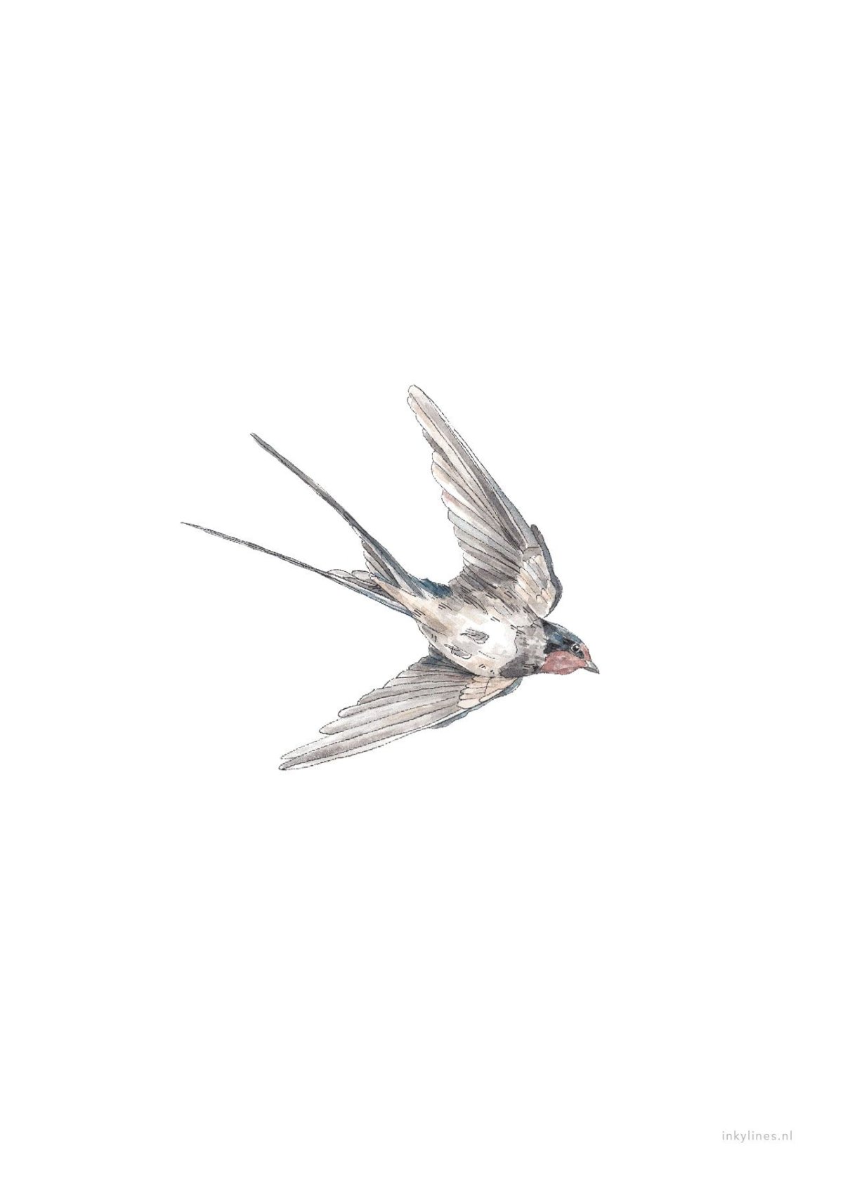 Ласточка летит