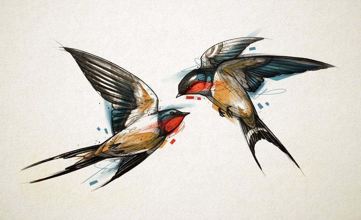 Ласточка набросок