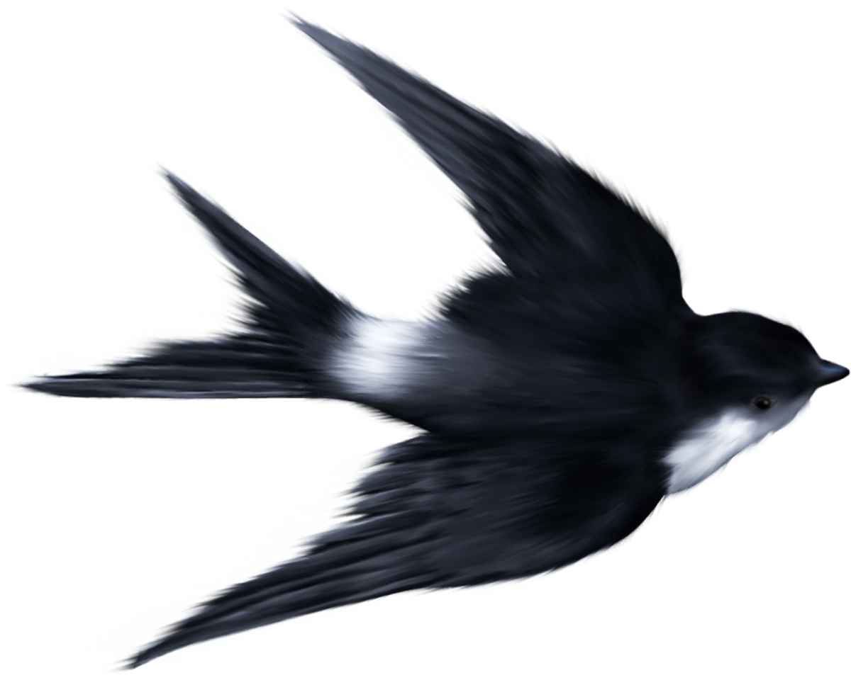 Чарльз Войси ласточки