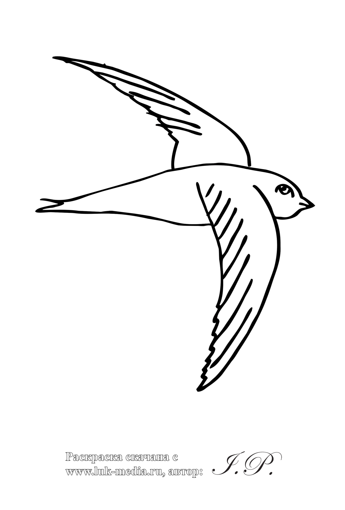 Ласточка рисунок