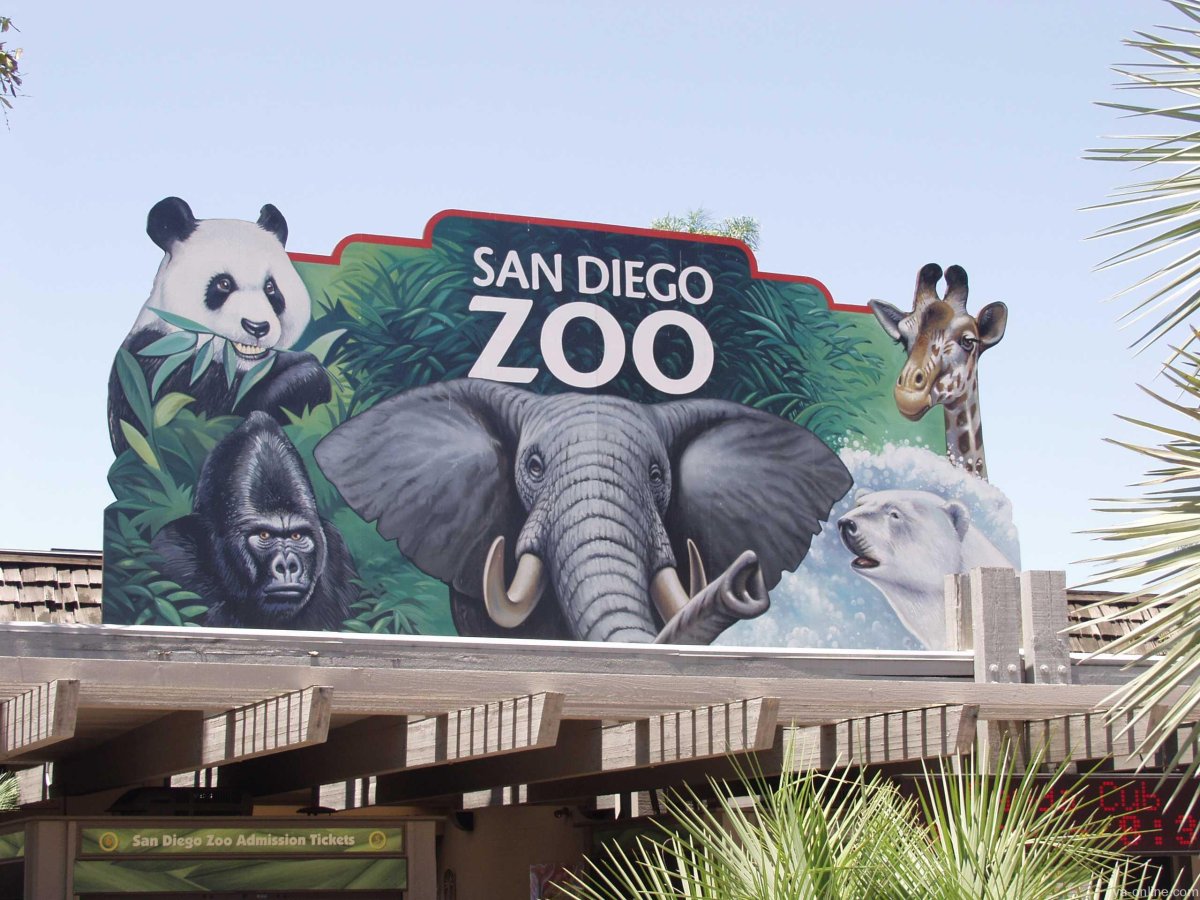 Зоопарк Сан-Диего (San Diego Zoo)