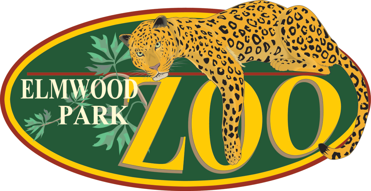 Телеканал зоопарк