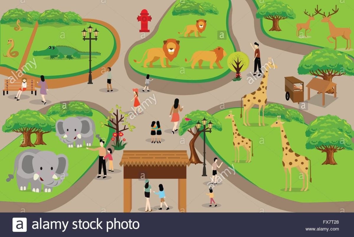 Дорожки в зоопарке