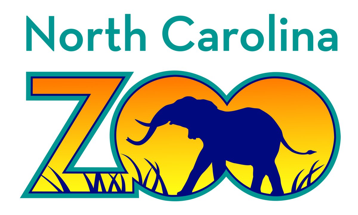 Зоопарк рисунок для детей