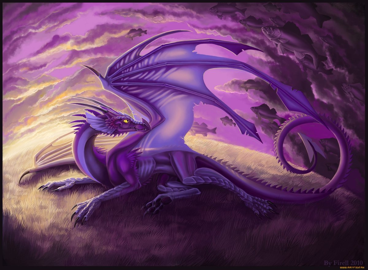 Аметистовый дракон