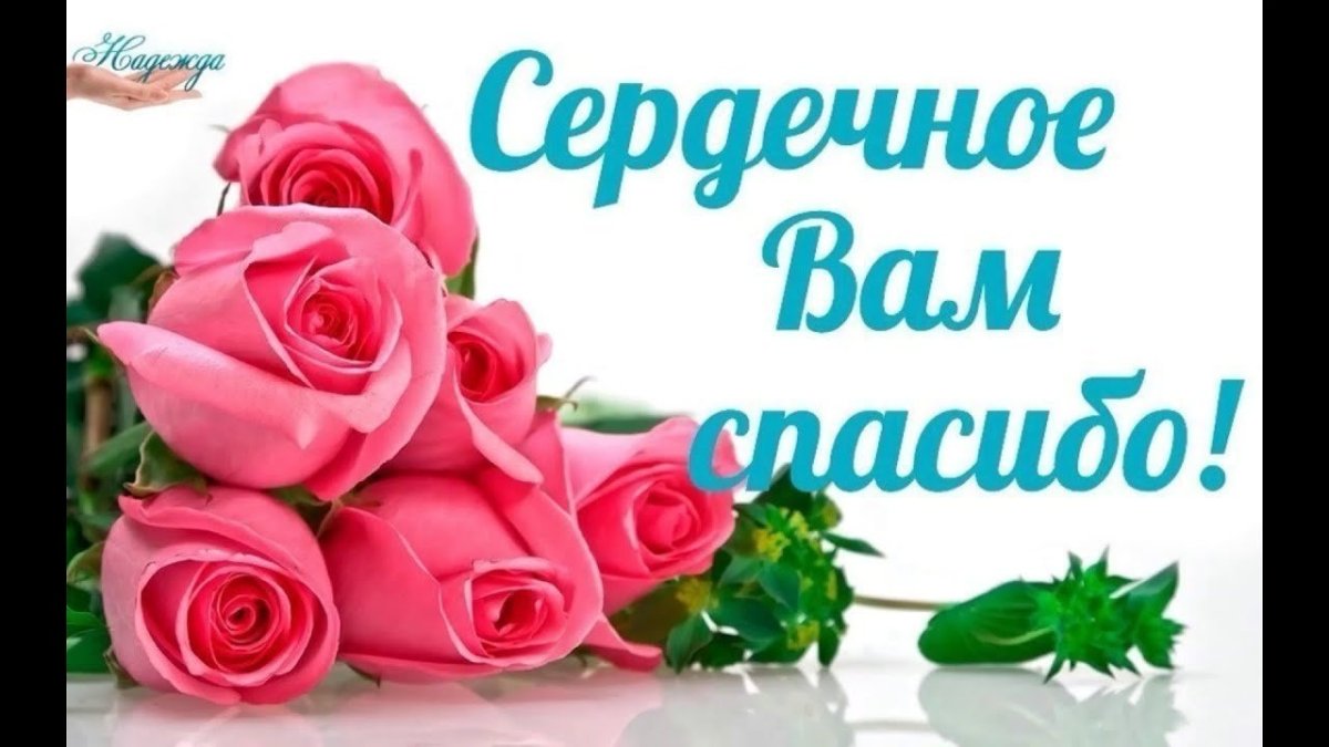 Отчет по сбору