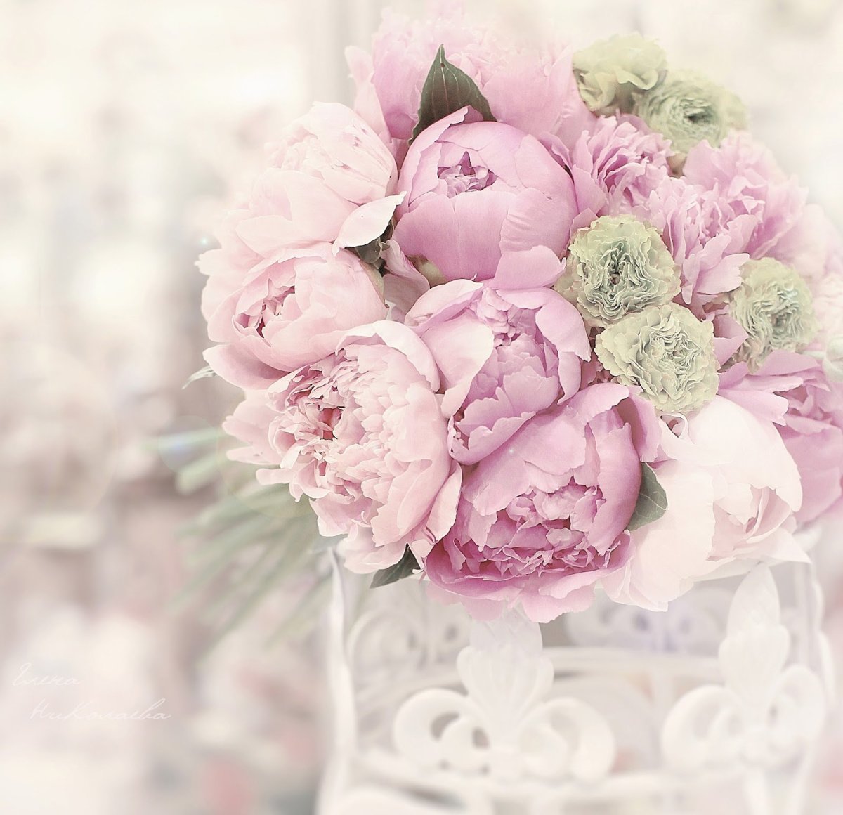 Нежные пионы