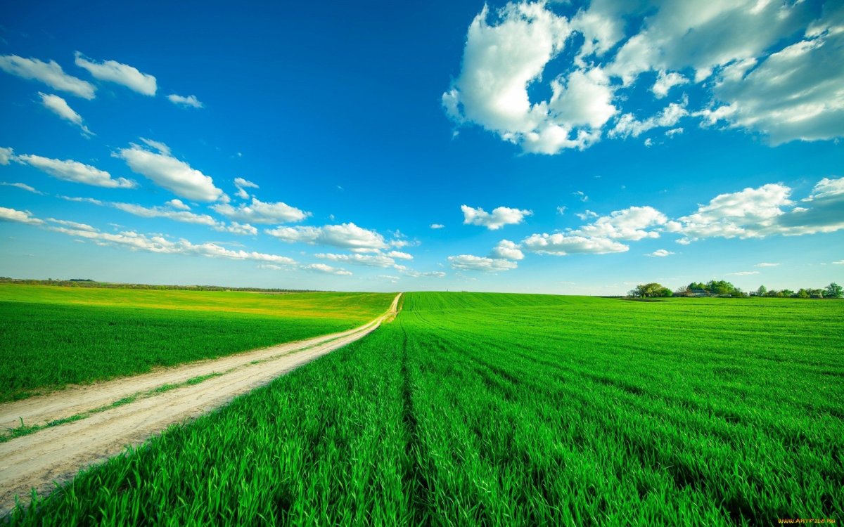 Природа поле