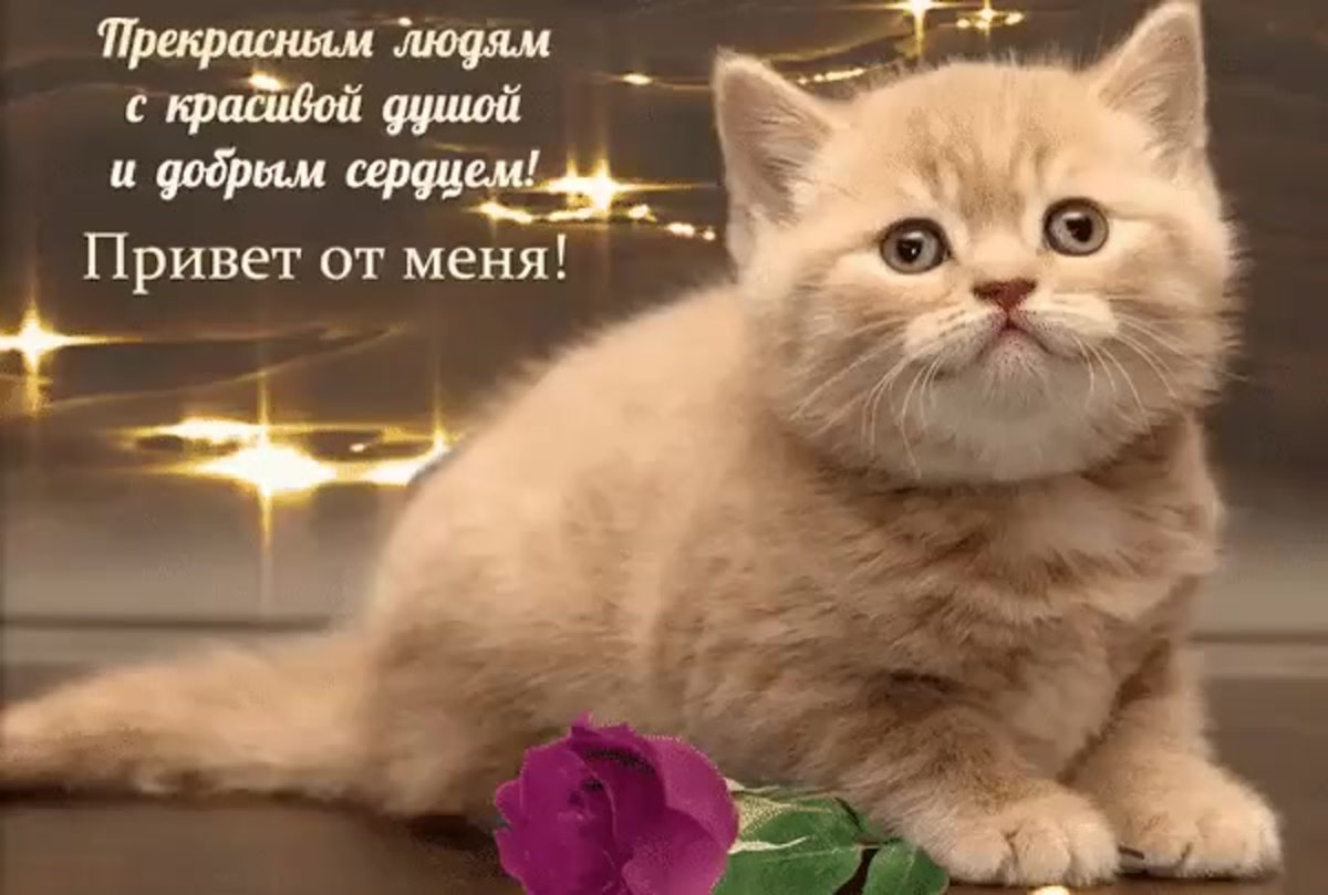 Открытка девушке