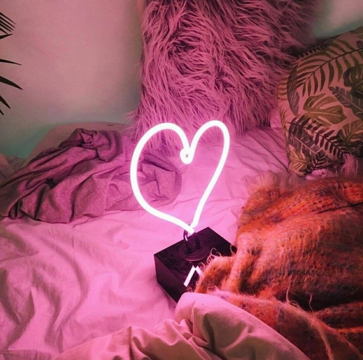 Сердце Эстетика