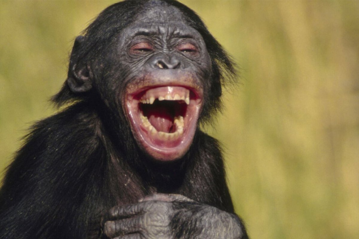 Прикольные рожицы