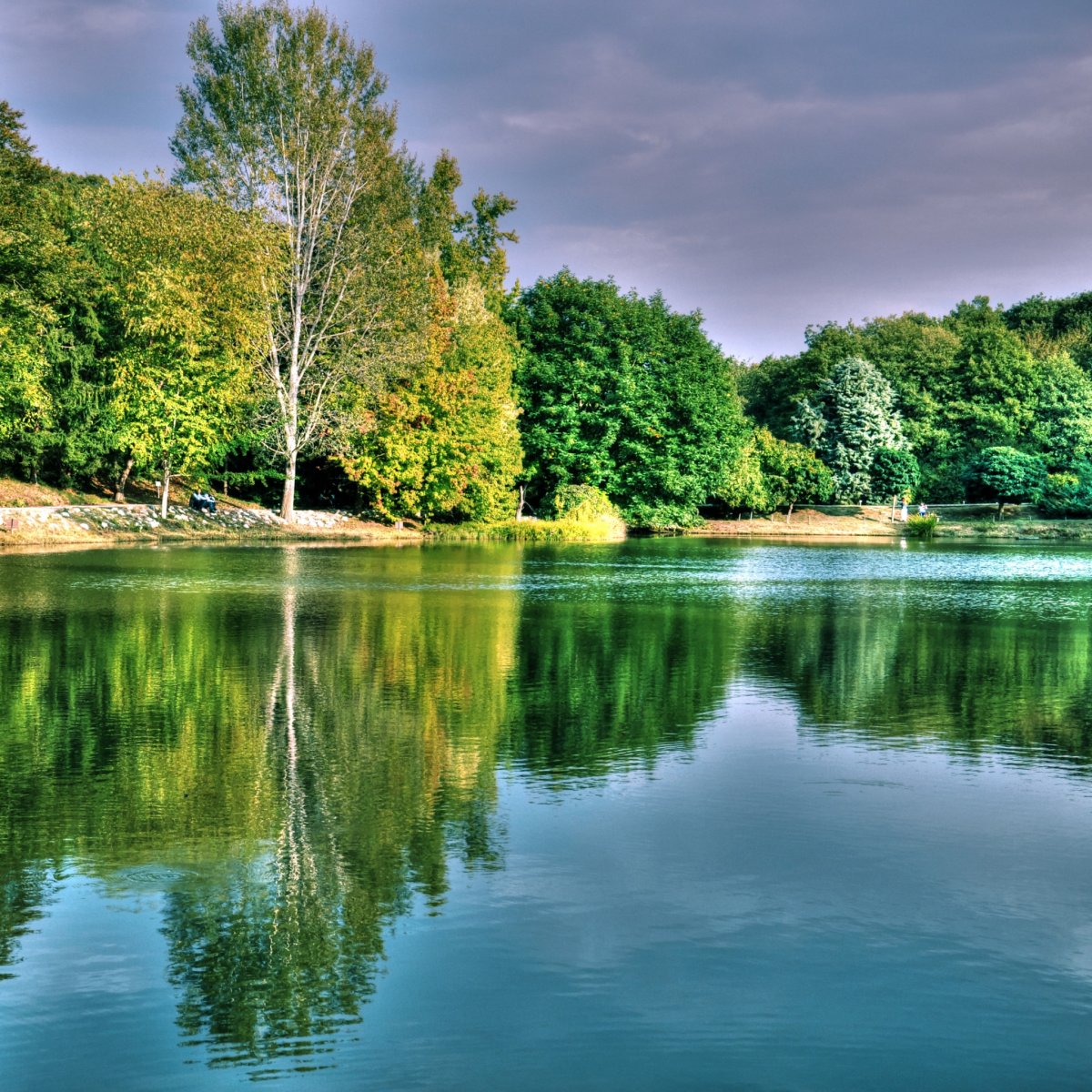 Пейзаж водопад
