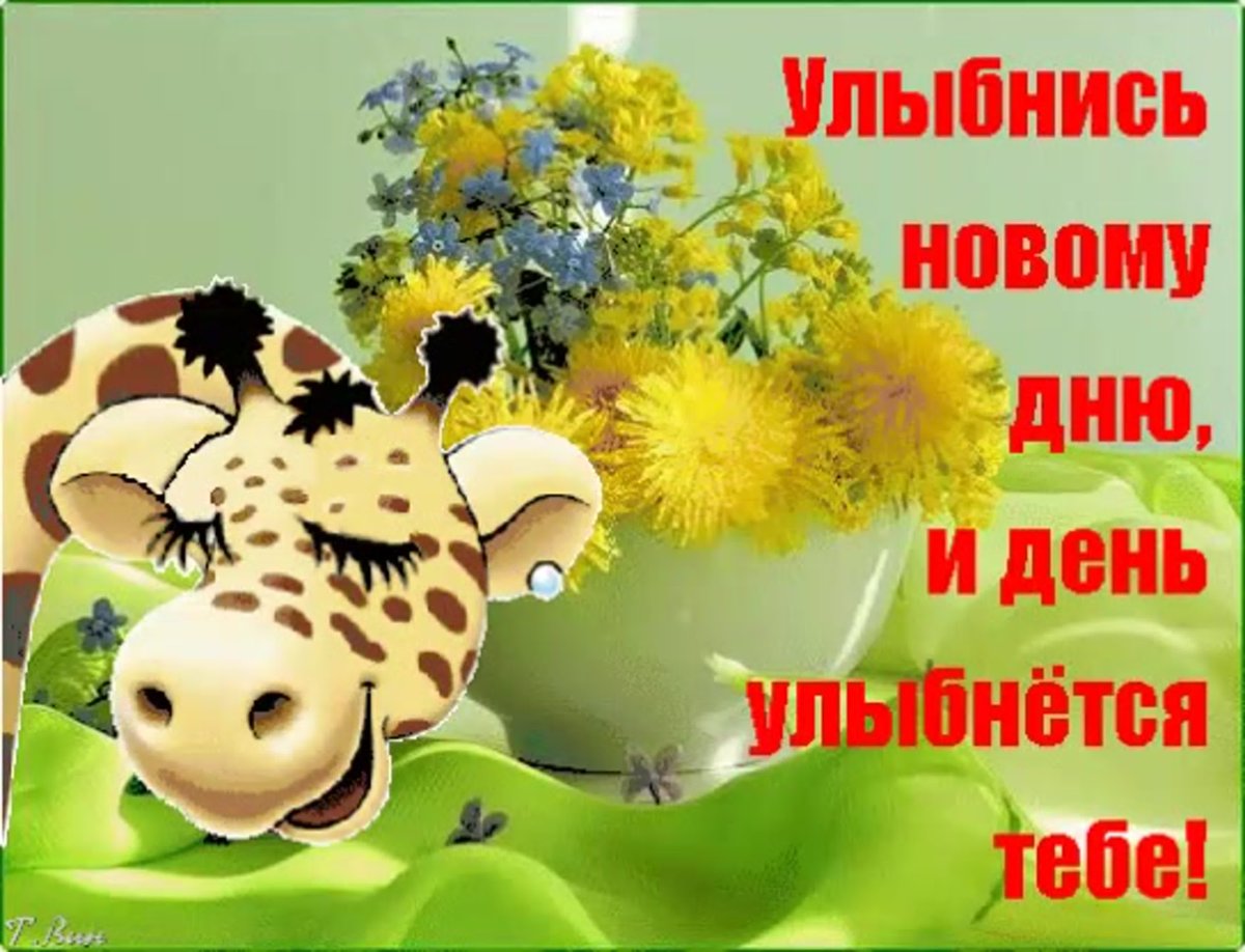 Улыбаемся новому Дню