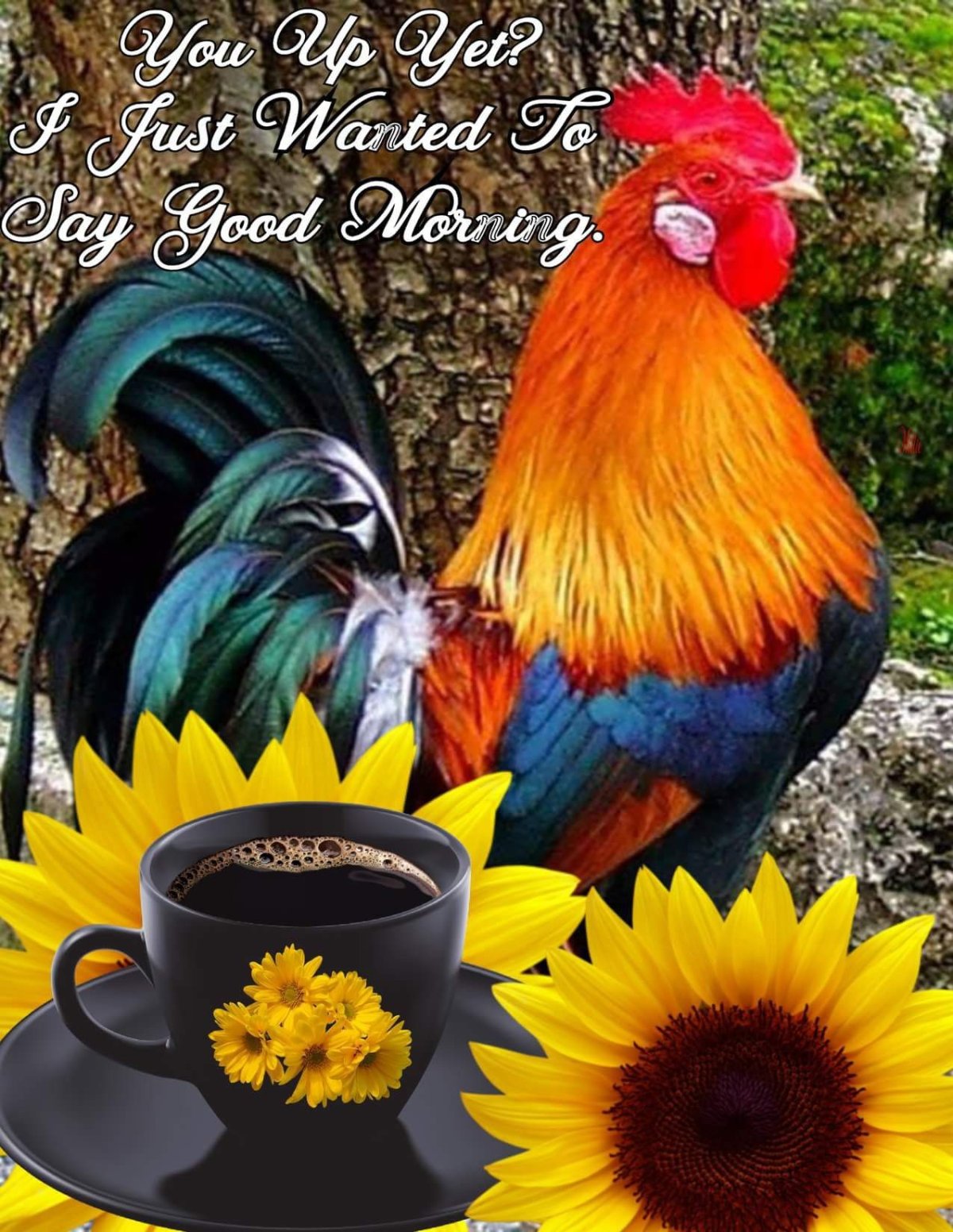 Поздравление с добрым утром