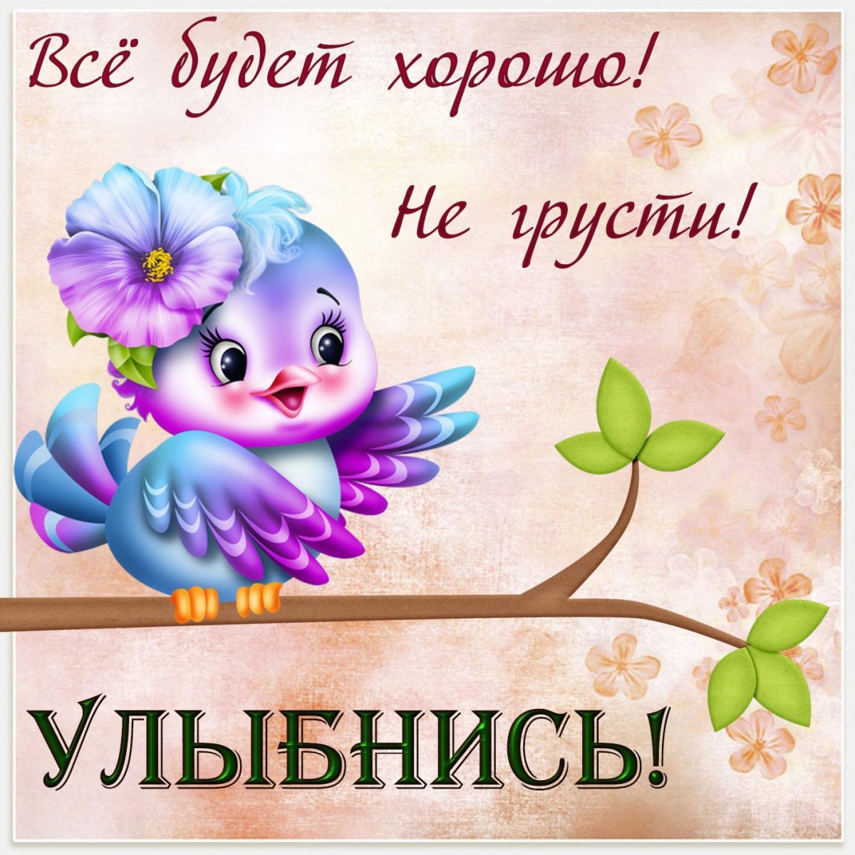 Смешные пожелания хорошего дня