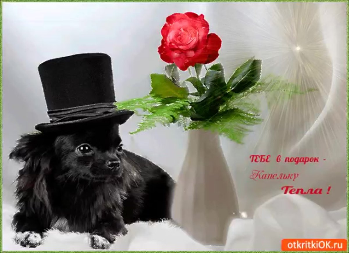 Красивые открытки