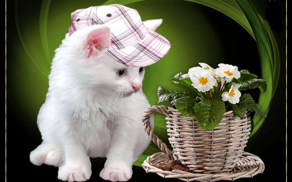 Открытка от всей души...