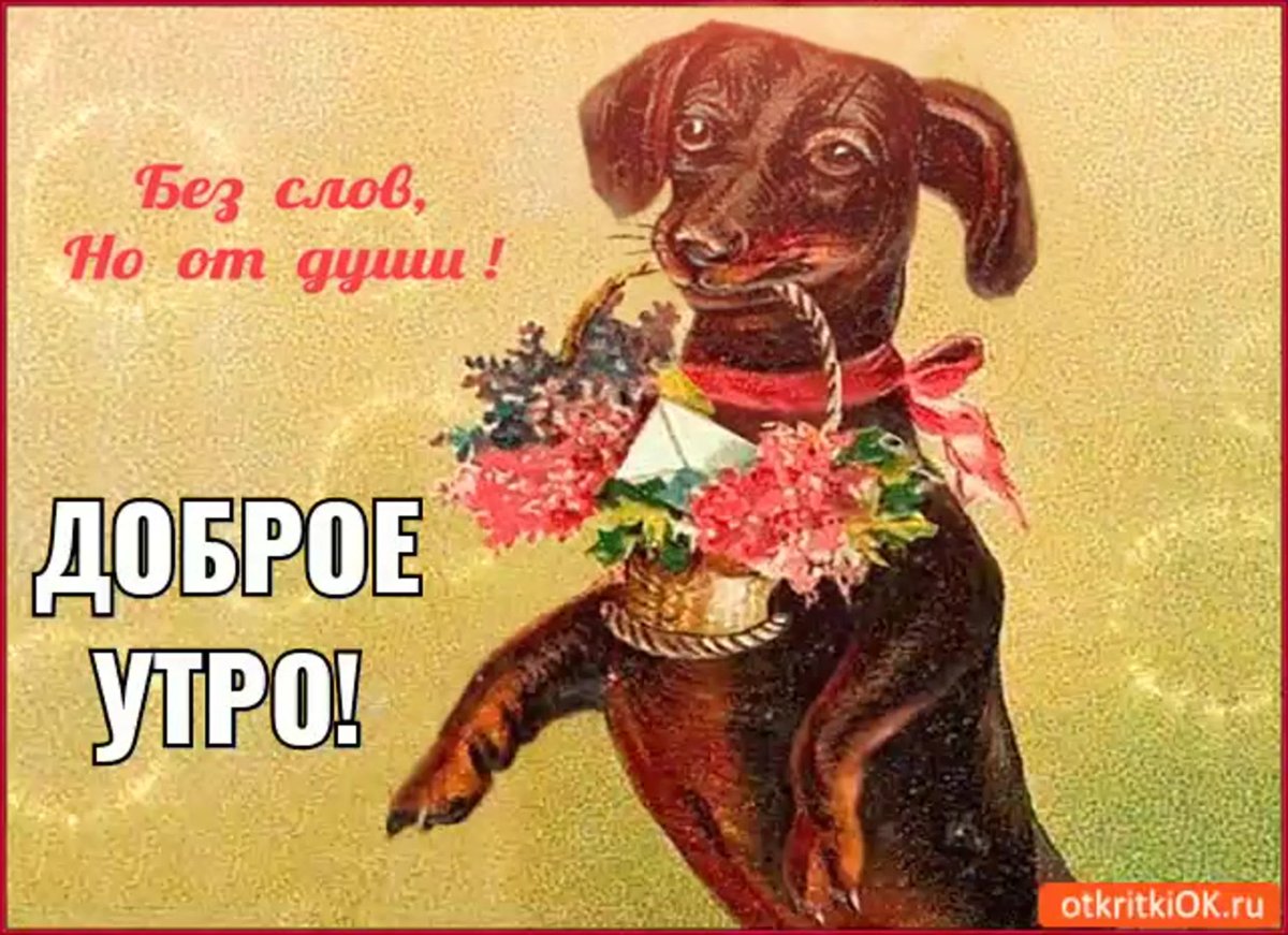 Открытки для мужчины просто так от души