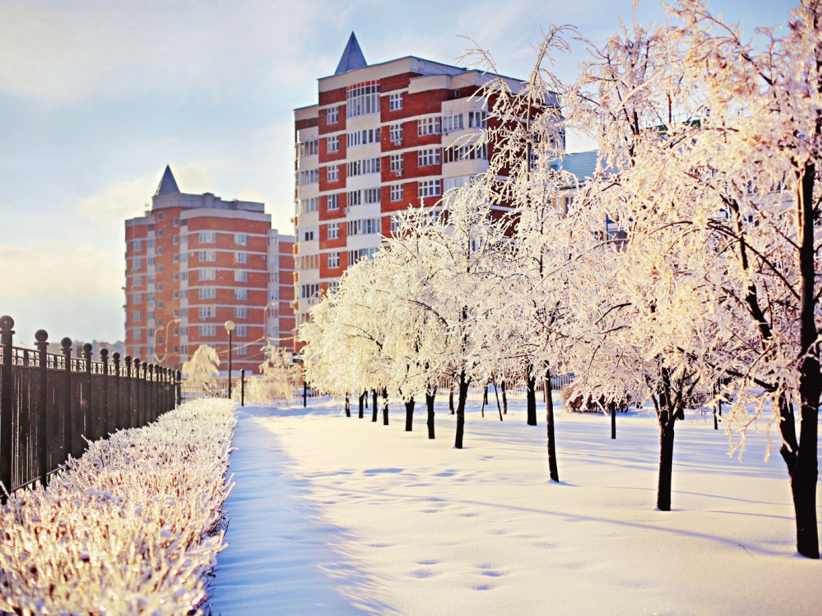 Солнечная зима в городе