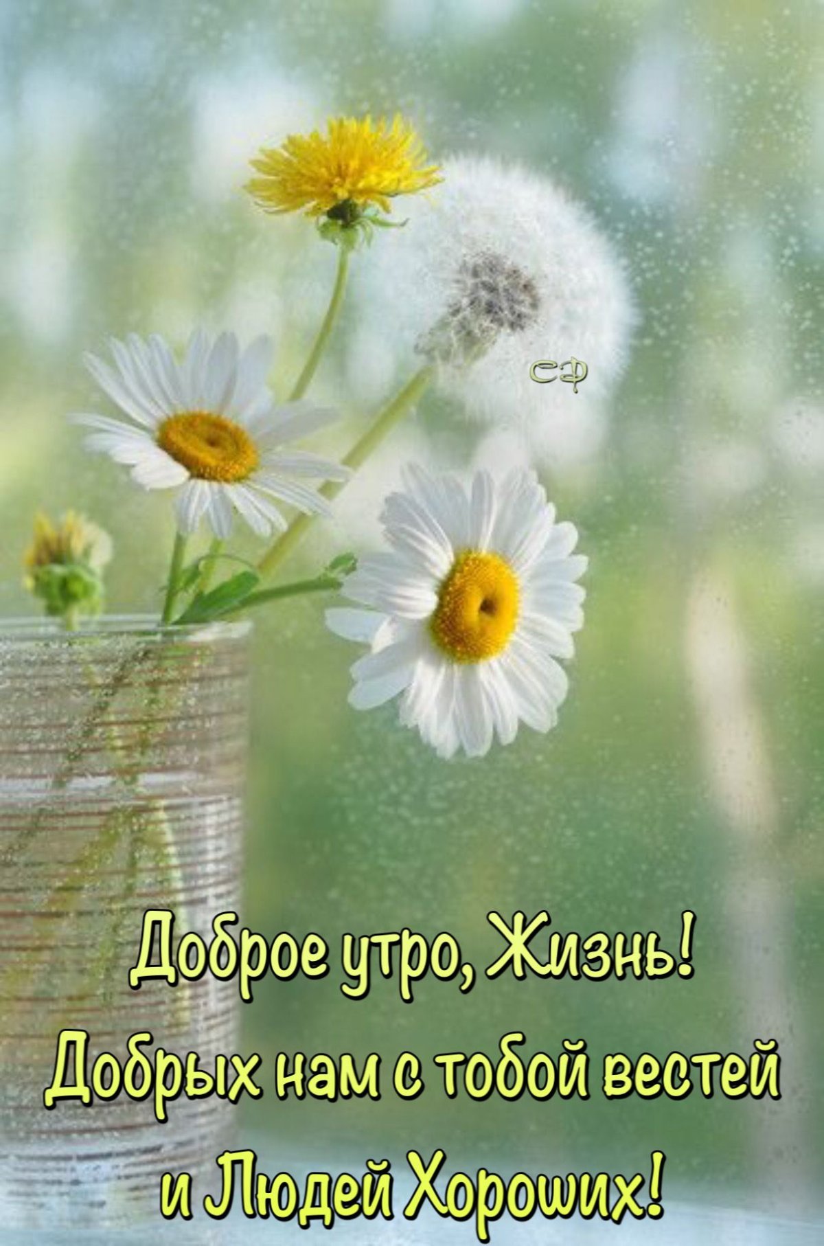 Доброе солнечное утро