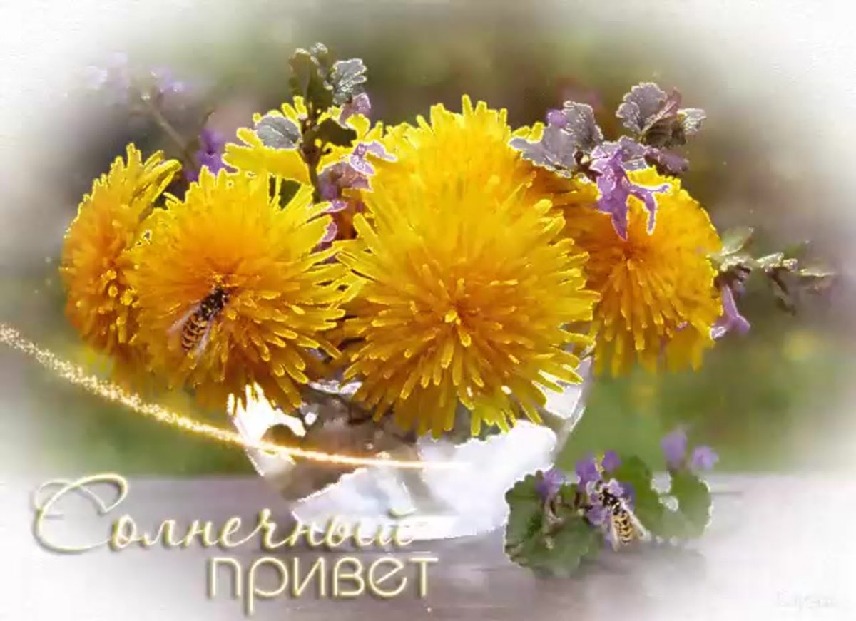 Открытки солнечного настроения