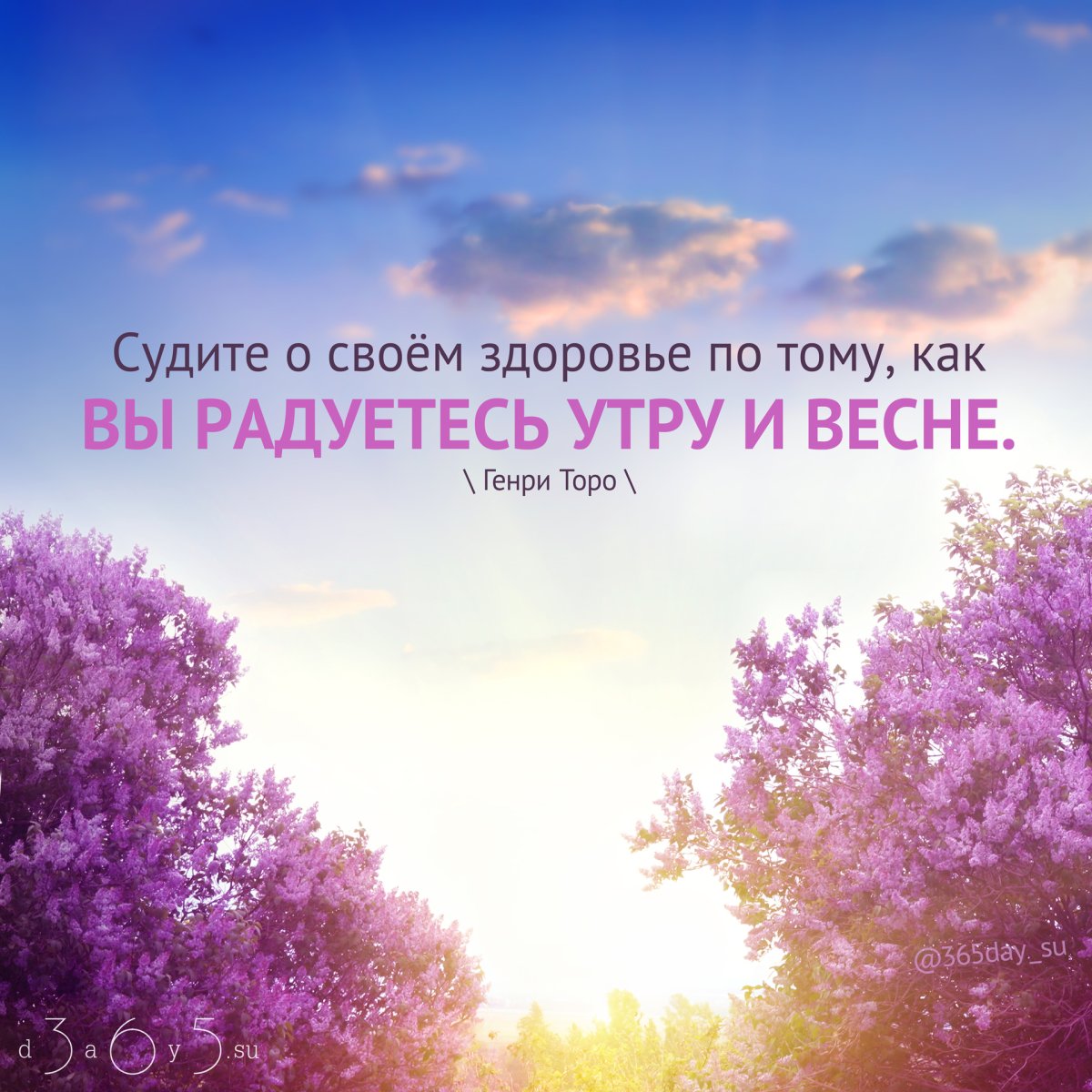 Цитаты про весну