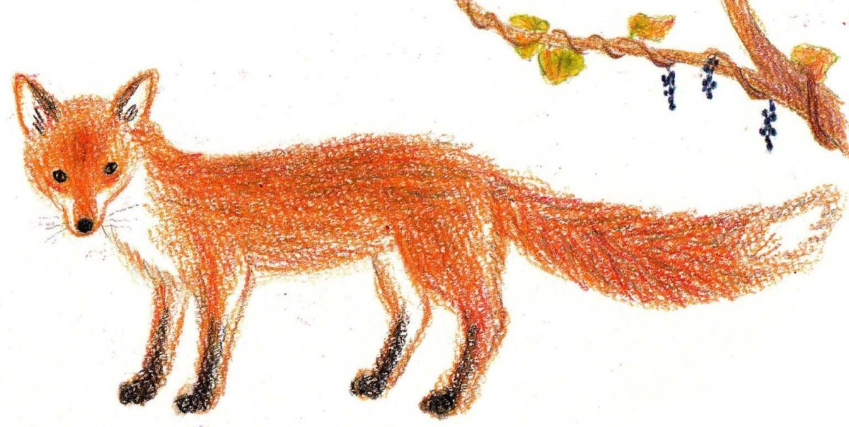 Лиса картинка для детей