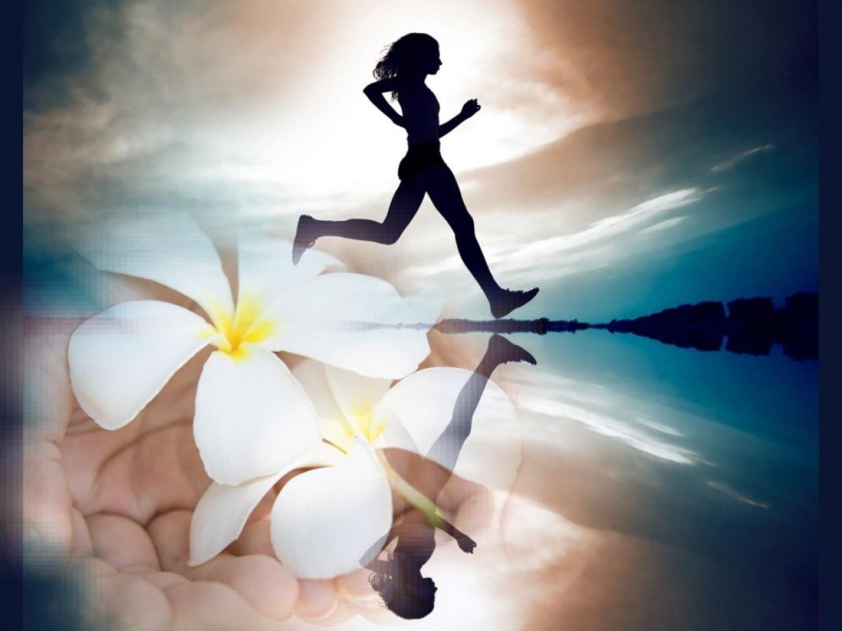 Здоровый образ жизни Гармония