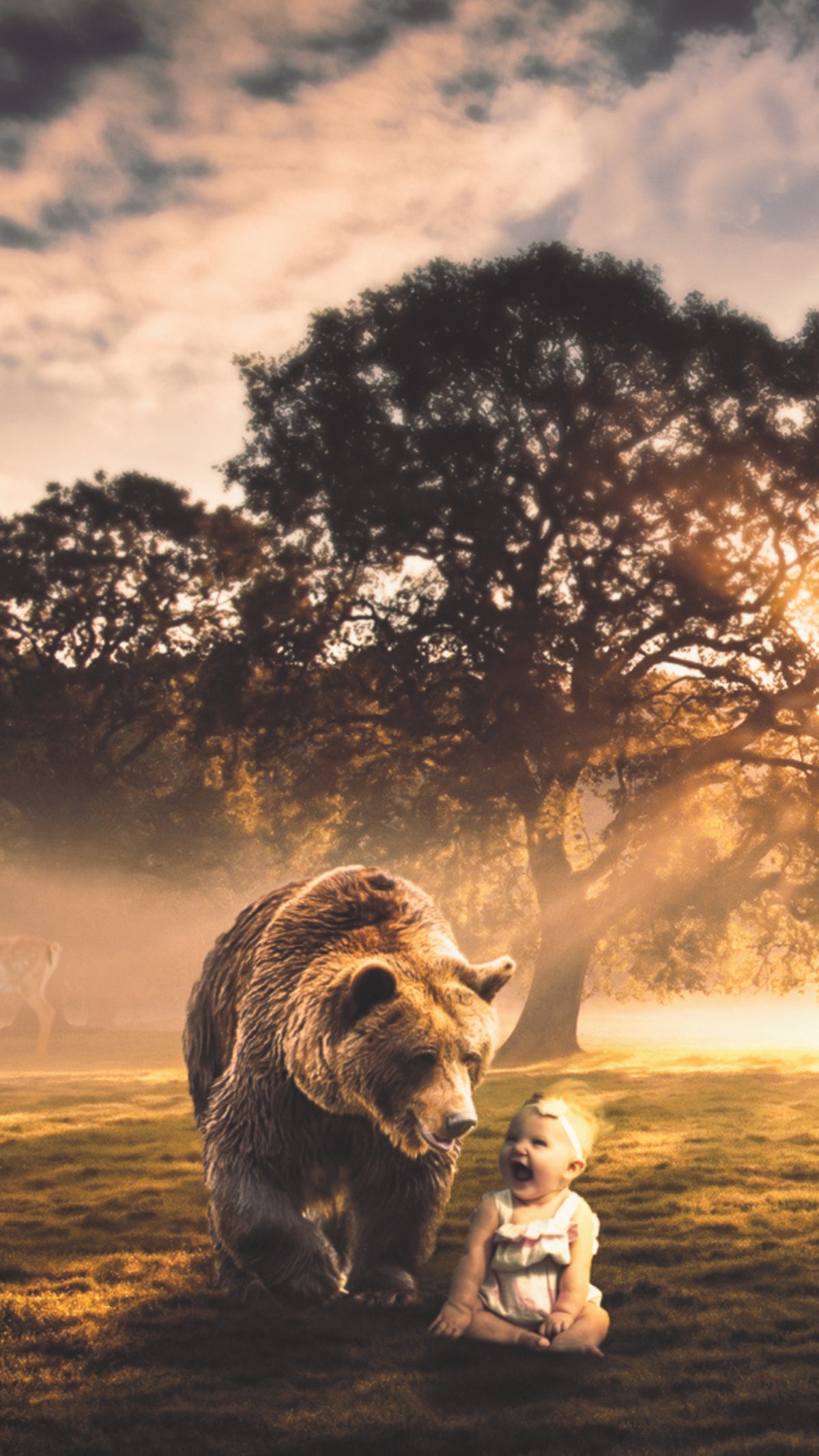 Забавные Дикие животные