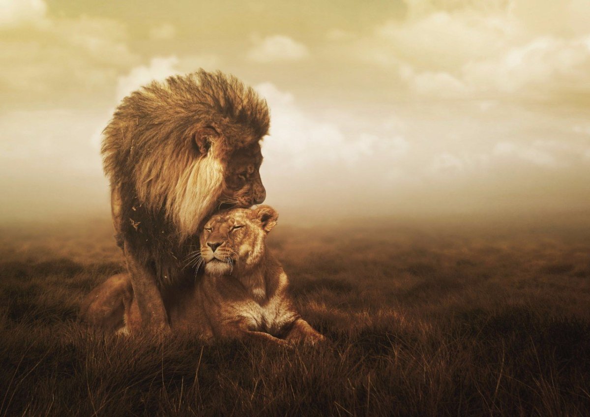 Зверь апокалипсиса Библия