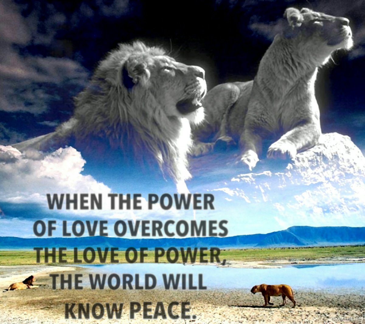 Медведь Гризли против Льва