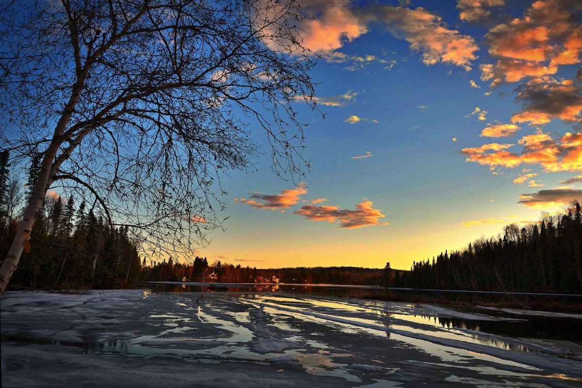 Весенние пейзажи Юрия Обуховского